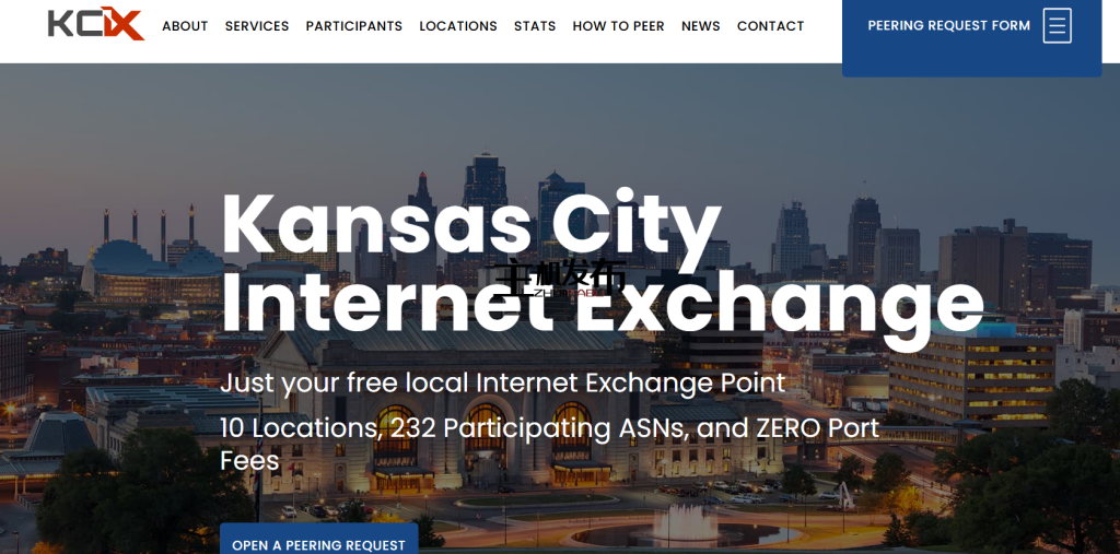 ███ 16核/32线程 - 64GB内存 - 双500GB固态 - 10Gbps端口 - 仅49美元 ███