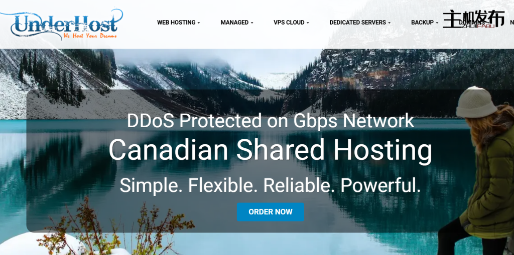 【CW机房】加勒比海境外独立服务器 | 5TB大流量 | 赠送2个IPv4 + iRMC管理 | 不受限内容